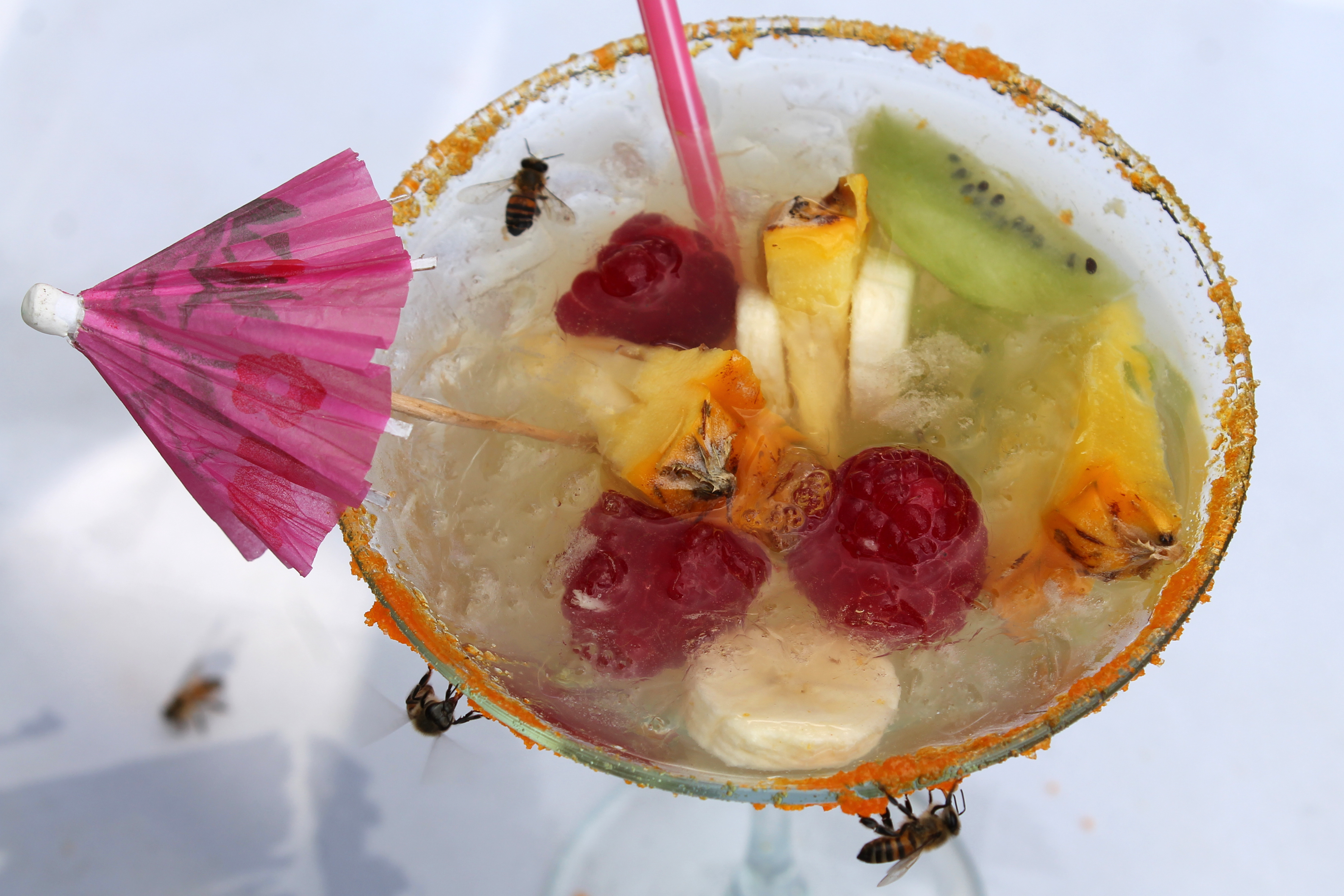 6-nations-cocktail-competitions